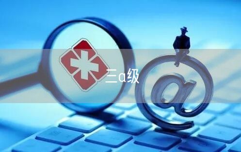 三a级