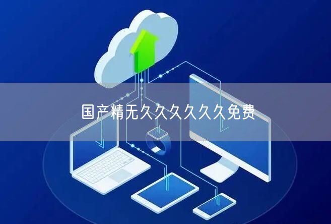 国产精无久久久久久久免费